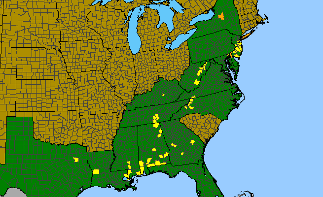 The range of Stenanthium leimanthoides